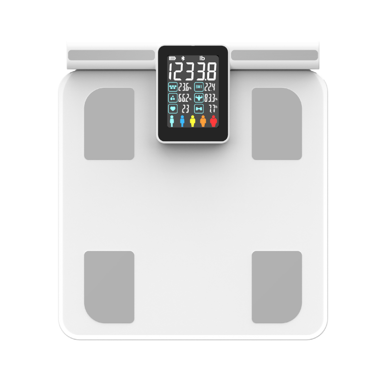 KS-FL562 Large Display High Precision digital bathroom Fitness scales smart body fat scale