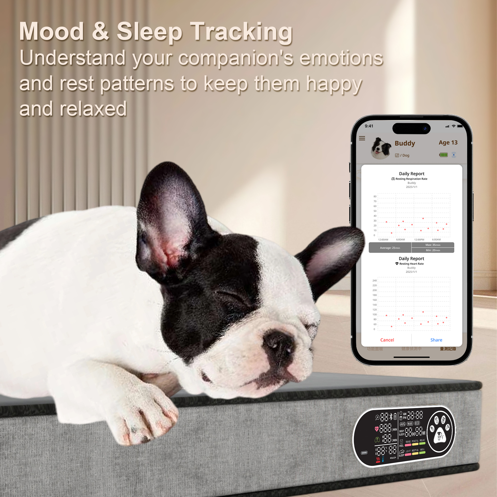 DD040 Zero-Gravity Pet Support &Sleep Wellness System