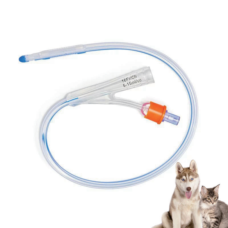 TA-VA08 Veterinary foley catheter