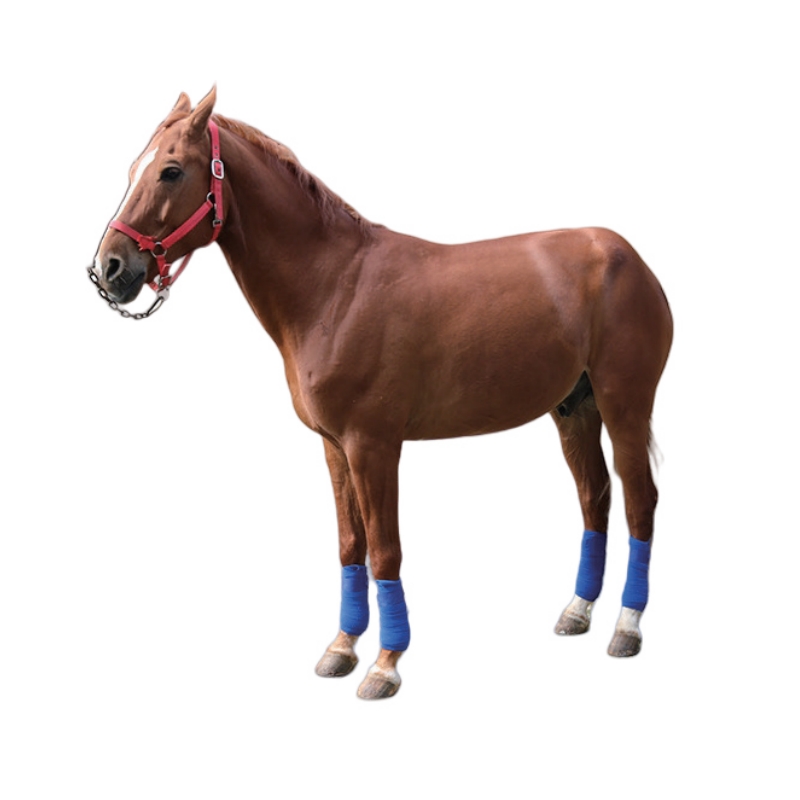 Premium Horse Foot Bandage: Optimal Protection & Support for Equine Athletes